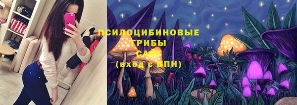 2c-b Белокуриха